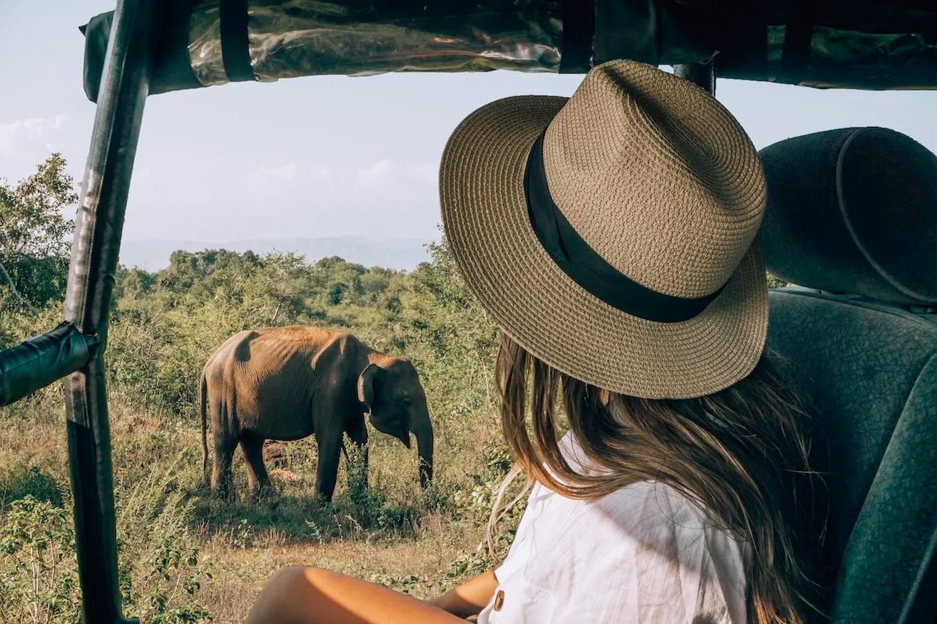 Udawalwa safari